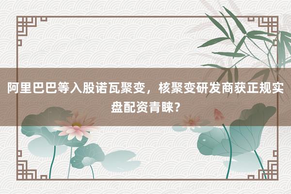 阿里巴巴等入股诺瓦聚变，核聚变研发商获正规实盘配资青睐？