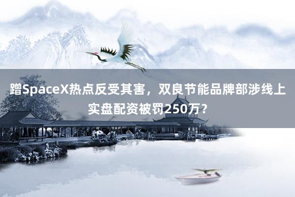 蹭SpaceX热点反受其害，双良节能品牌部涉线上实盘配资被罚250万？