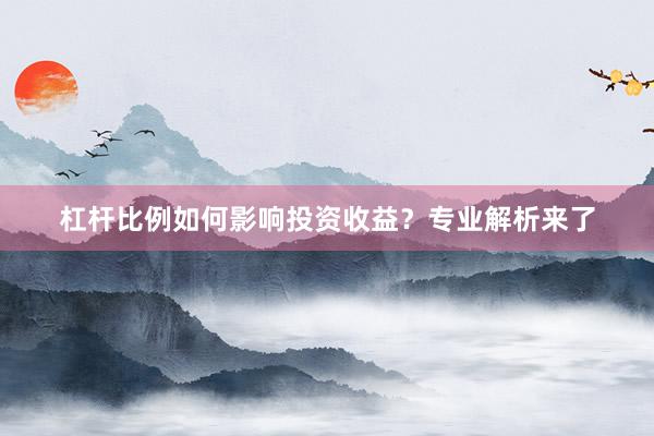 杠杆比例如何影响投资收益？专业解析来了