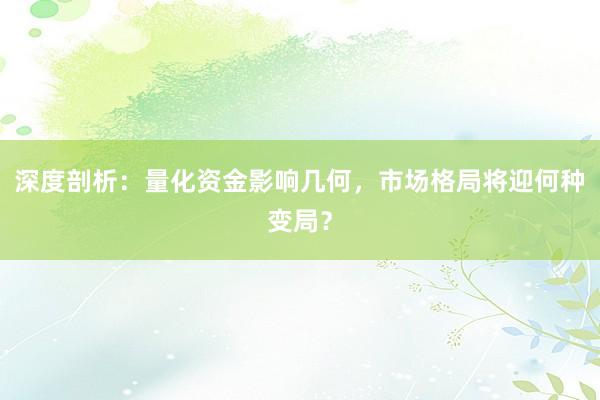 深度剖析：量化资金影响几何，市场格局将迎何种变局？