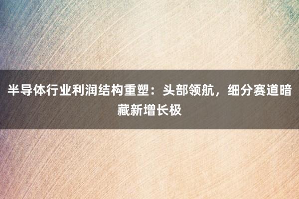 半导体行业利润结构重塑：头部领航，细分赛道暗藏新增长极