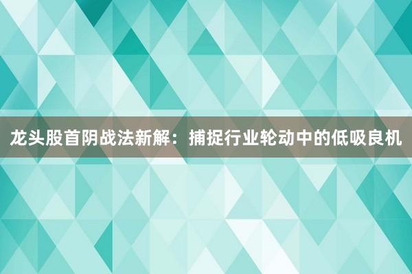 龙头股首阴战法新解：捕捉行业轮动中的低吸良机