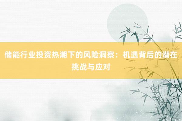 储能行业投资热潮下的风险洞察：机遇背后的潜在挑战与应对
