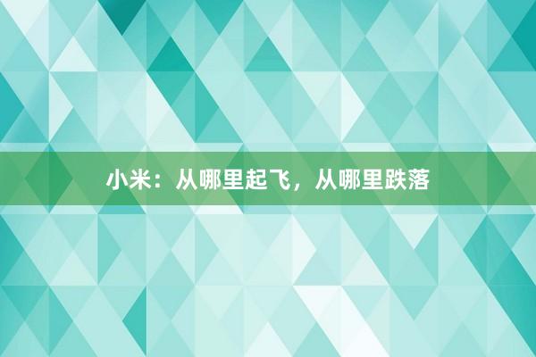 小米：从哪里起飞，从哪里跌落