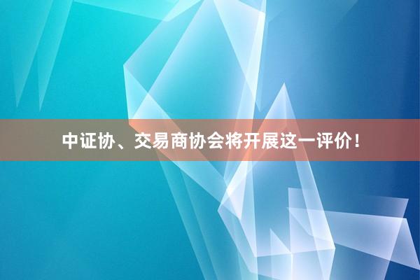 中证协、交易商协会将开展这一评价！
