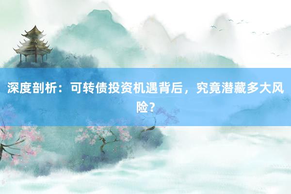 深度剖析：可转债投资机遇背后，究竟潜藏多大风险？