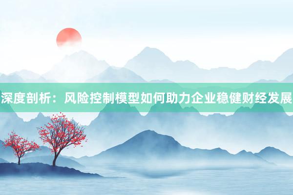 深度剖析：风险控制模型如何助力企业稳健财经发展