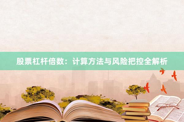 股票杠杆倍数：计算方法与风险把控全解析