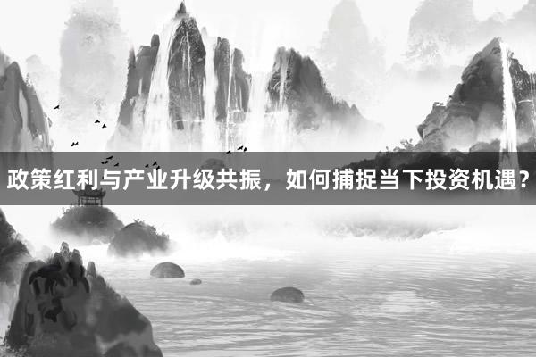 政策红利与产业升级共振，如何捕捉当下投资机遇？