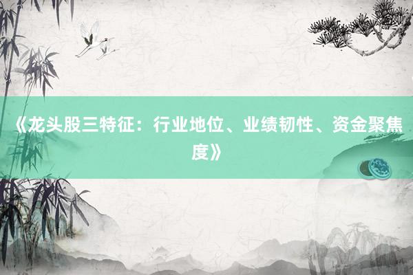 《龙头股三特征：行业地位、业绩韧性、资金聚焦度》