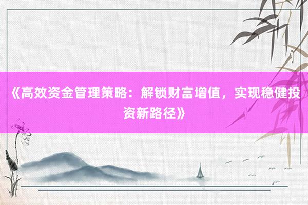 《高效资金管理策略：解锁财富增值，实现稳健投资新路径》