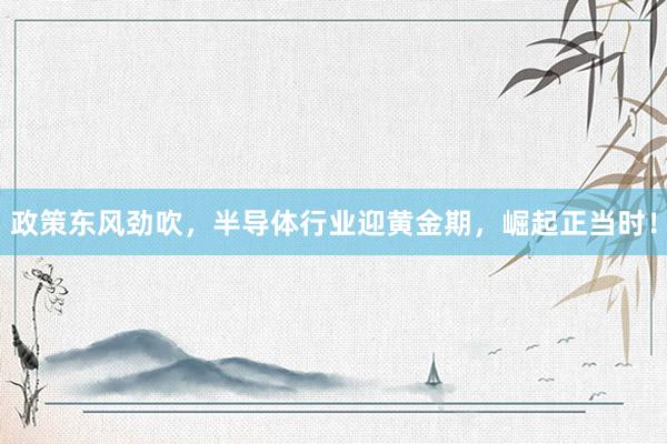政策东风劲吹，半导体行业迎黄金期，崛起正当时！