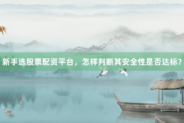 新手选股票配资平台，怎样判断其安全性是否达标？